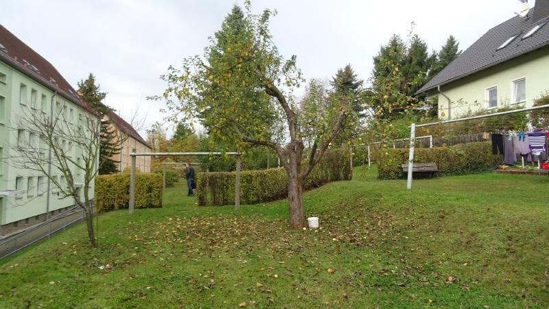 Frisch sanierte Dreiraumwohnung in schöner Wohnlage! - Photo 2