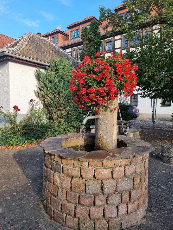 Dachgeschosswohnung auf Wunsch mit Einbauküche in Gößnitz! - Photo 2